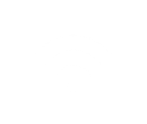High Speed Wi-Fi Connectivity